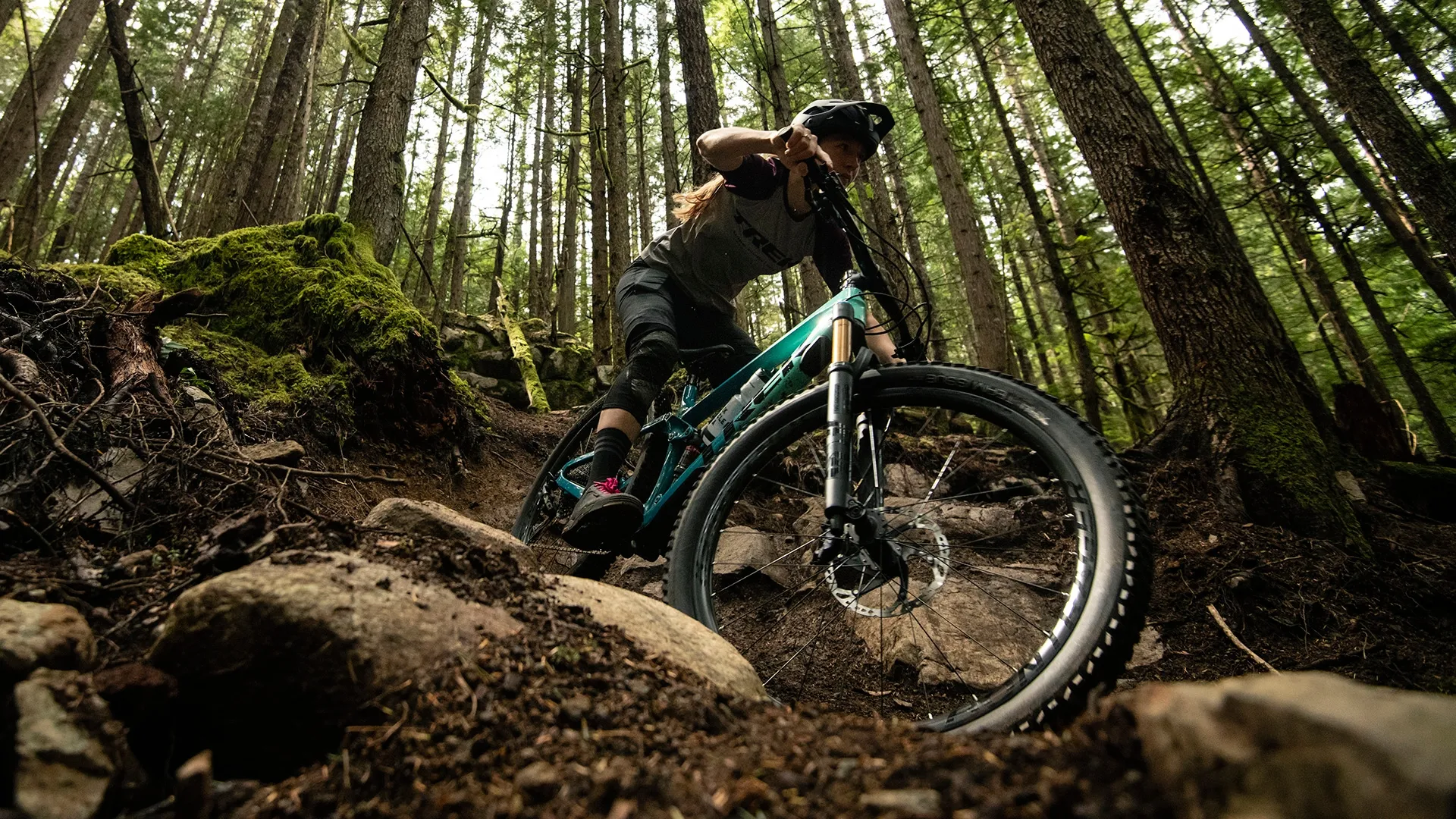 Fuel EX 8 GX AXS M 29 Matte Keswick