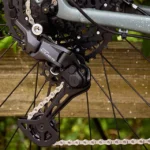 FX MS Sport EQ S Keswick Green / Lichen Green Spla