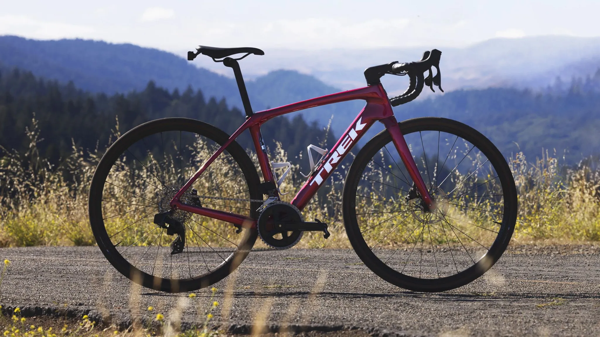Domane SL 5 44 Dark Star to Bronze Age Fade
