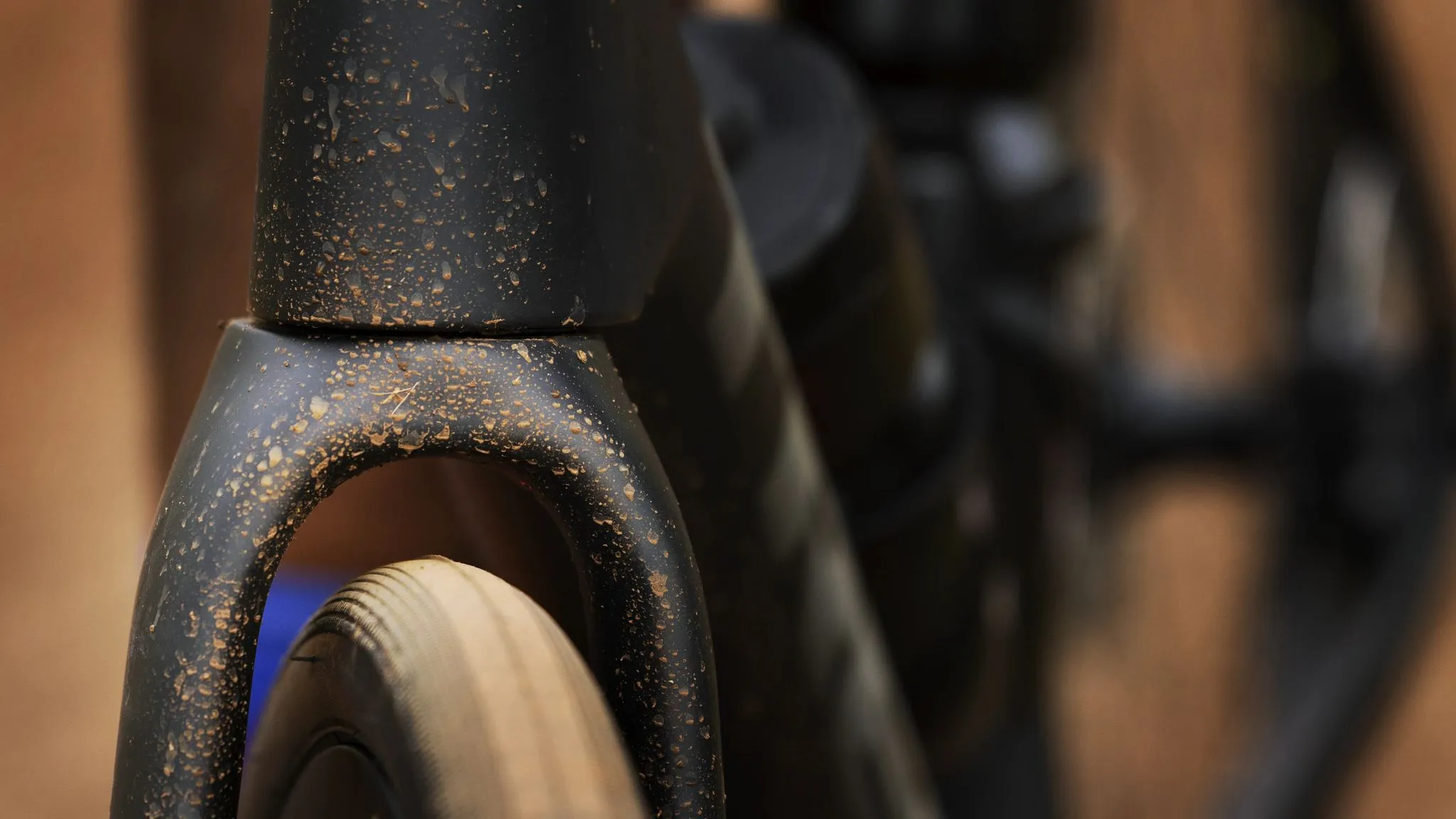 Domane SL 7 44 Dark Star to Bronze Age Fade