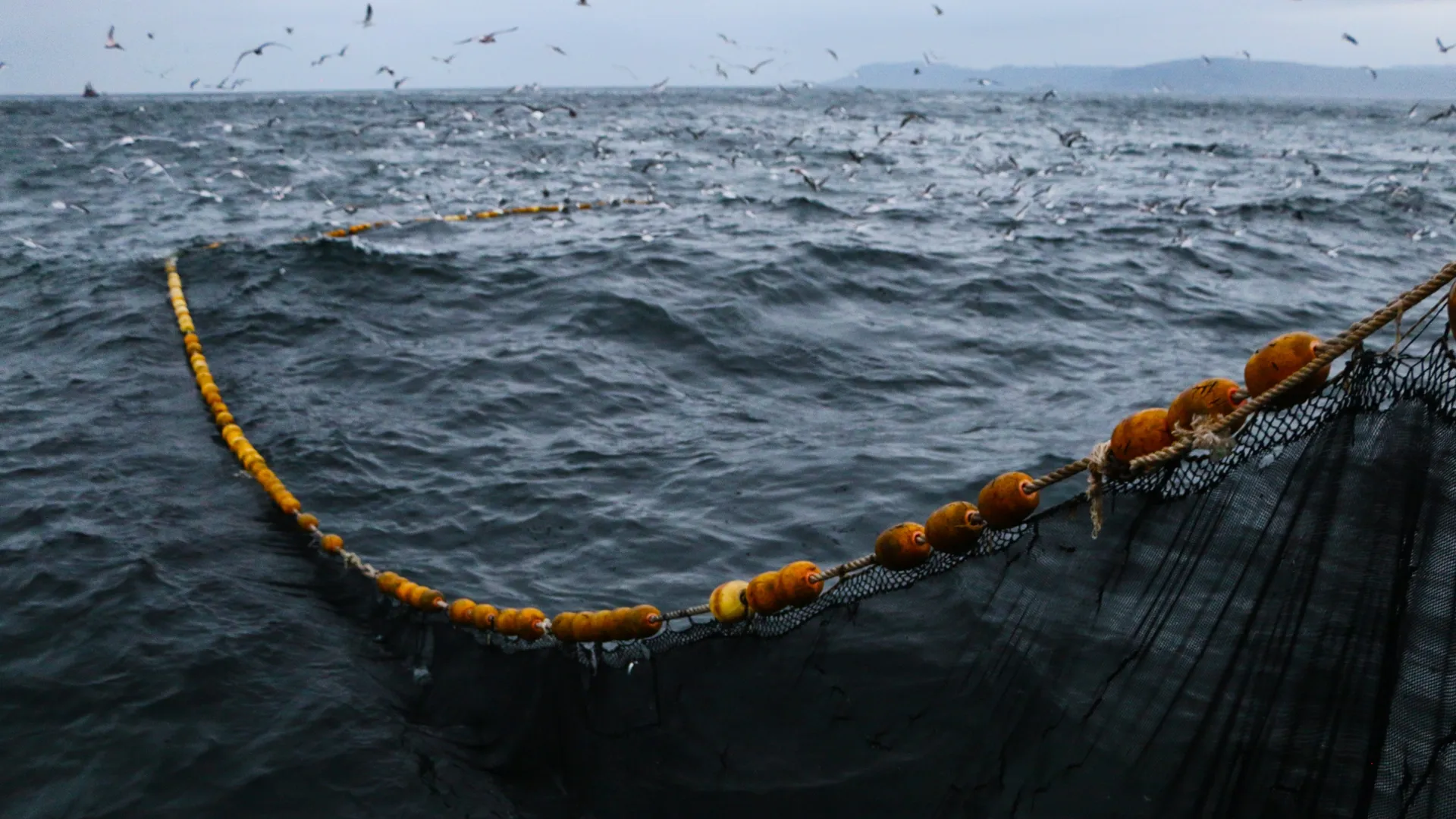 Flaskställ Bontrager Elite återvunnen plast från h