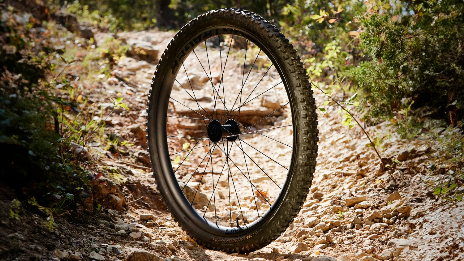 Däck Bontrager Gunnison Pro XR 29x2,6 TLR