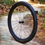 Däck Bontrager Vallnord RSL XR 29x2,40 TLR