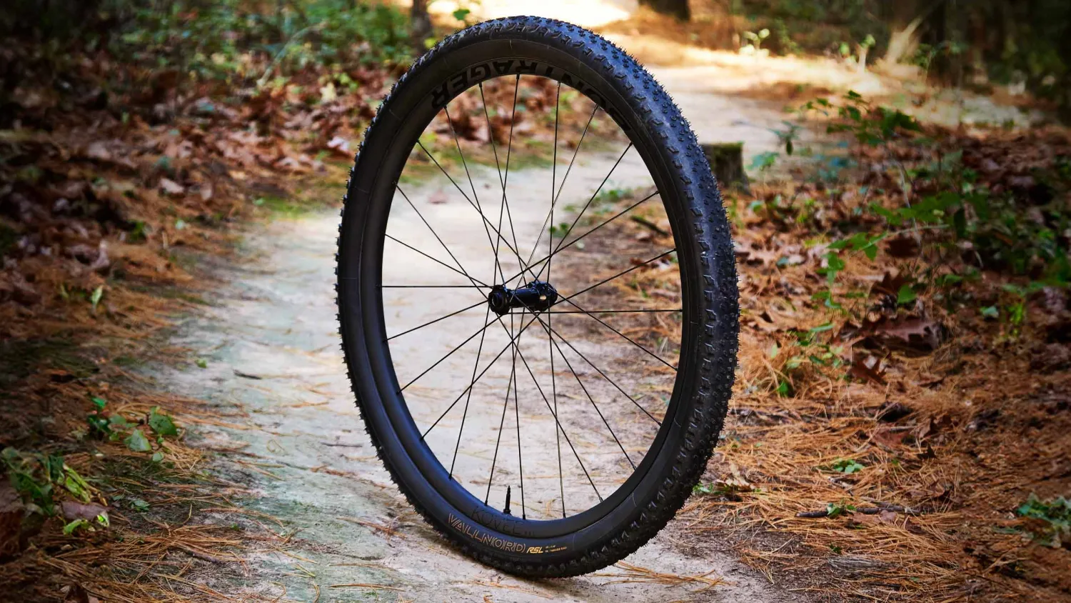 Däck Bontrager Vallnord RSL XR 29x2,40 TLR