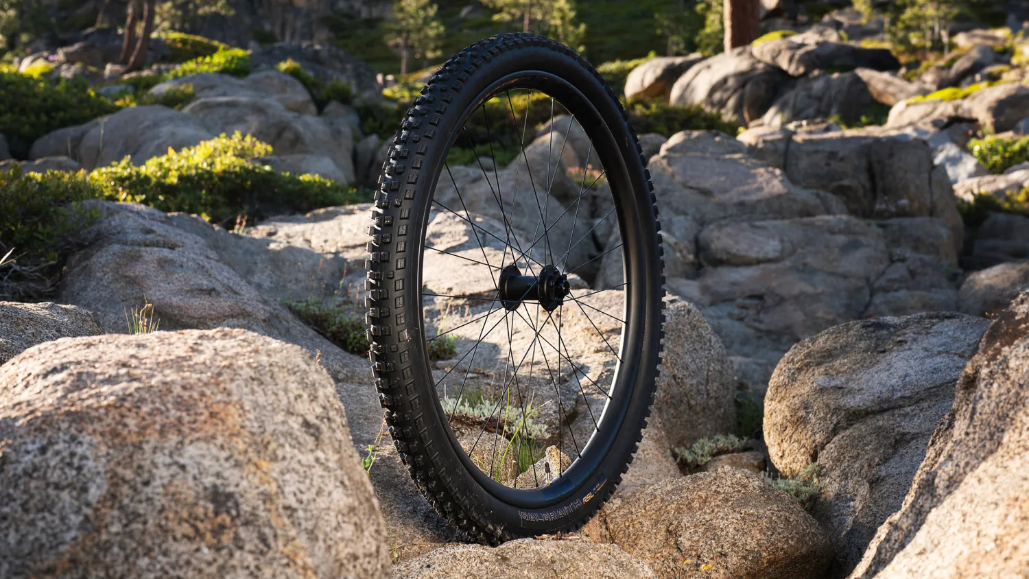 Däck Bontrager Galbraith RSL SE 29 x 2,50 Svart