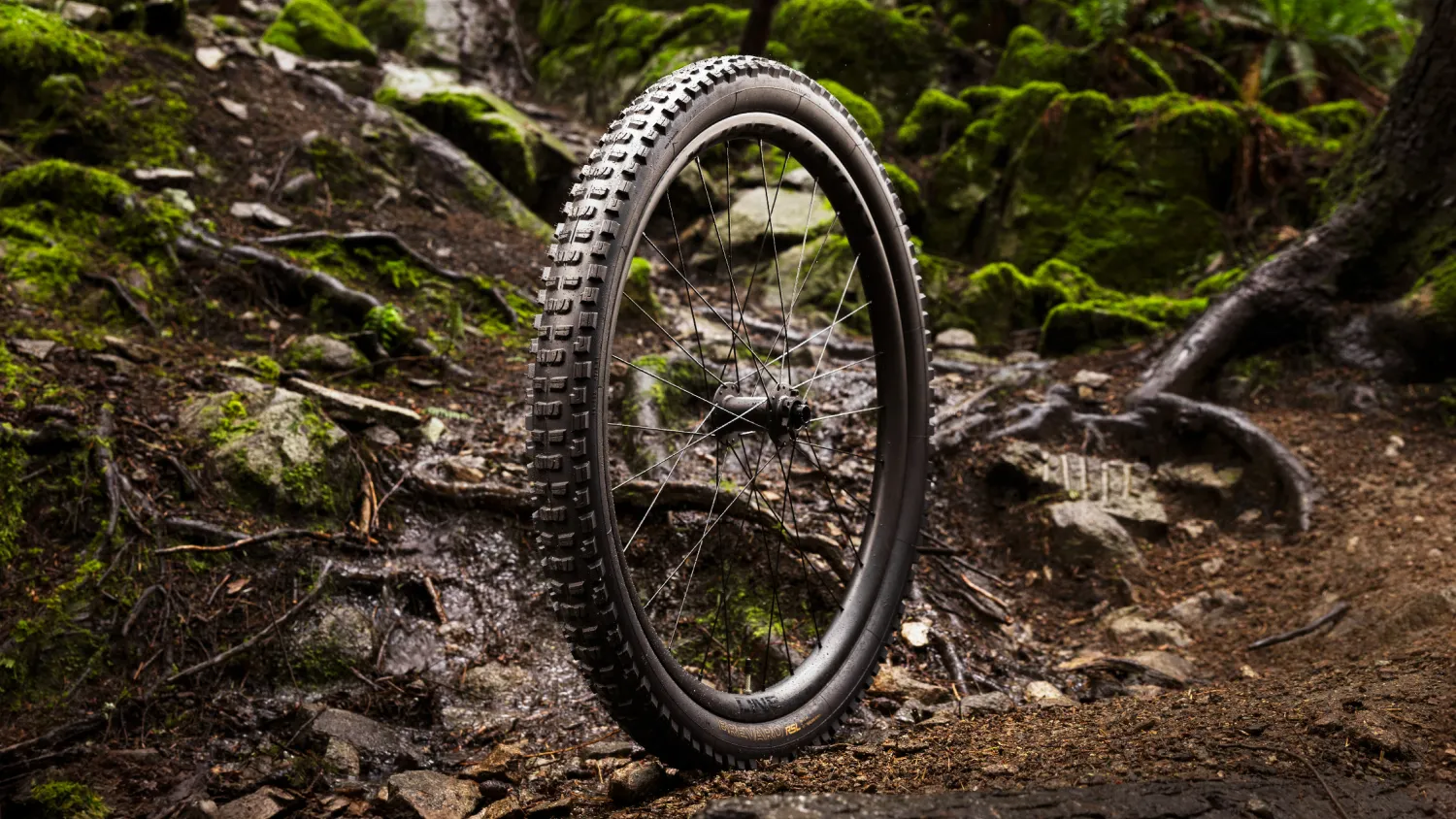 Däck Bontrager Brevard RSL XT 27,5 x 2,5 TLR Svart
