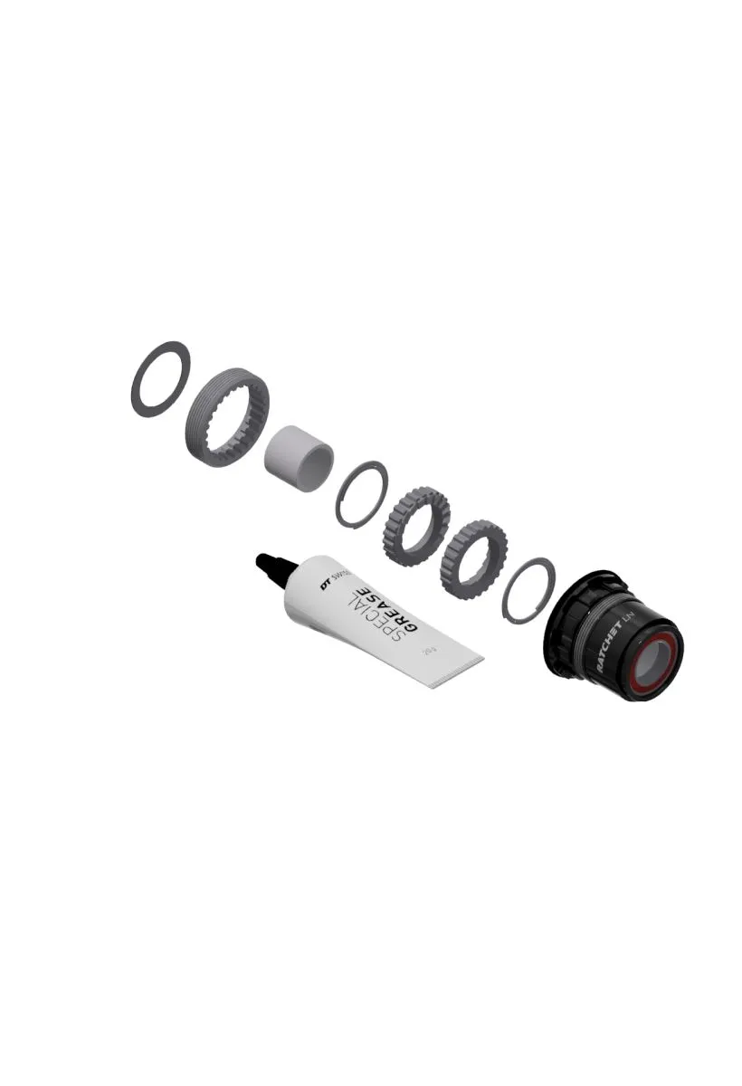 DT Swiss Ratchet LN service kit