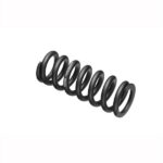 Rockshox coil spring black
