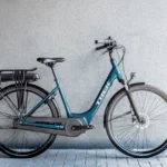 District+ 1 Lowstep XL Dark Aquatic 300WH