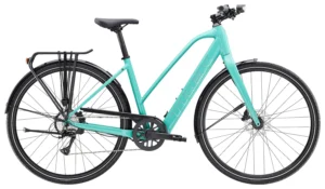 FX+ 2 MS LT XL Blue Sage