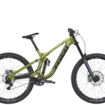 Session 8 29 R3 Chameleon Green