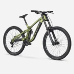 Session 8 29 R1 Chameleon Green