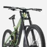 Session 8 29 R1 Chameleon Green