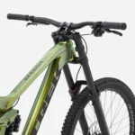 Session 8 29 R1 Chameleon Green