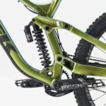 Session 8 29 R1 Chameleon Green