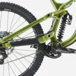 Session 8 29 R1 Chameleon Green