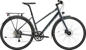 Nishiki City 601 Dam 20vxl