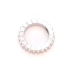 DT Swiss Star Ratchet 18t reservdel