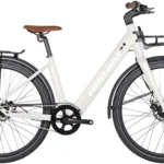 Nishiki Poseidon elcykel